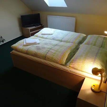 U Bednaru Guest house Pavlov